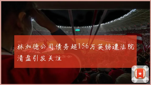 林加德公司债务超156万英镑遭法院清盘引发关注