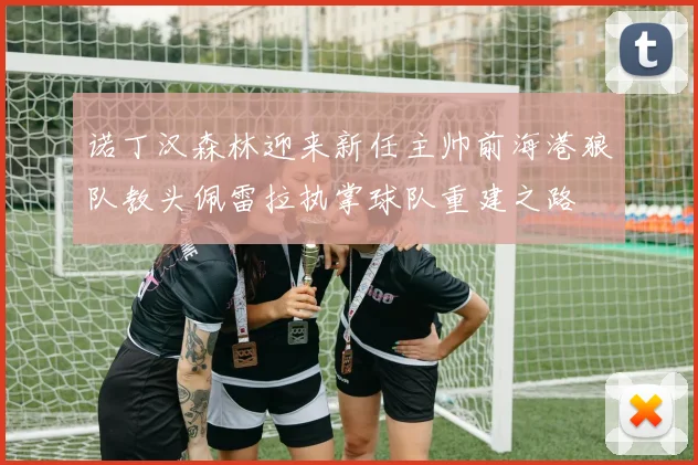 诺丁汉森林迎来新任主帅前海港狼队教头佩雷拉执掌球队重建之路
